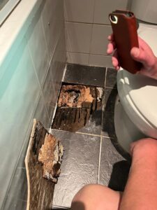 Leaking toilet in Teddington TW11 9AA Twickenham Green Plumbing and Heating